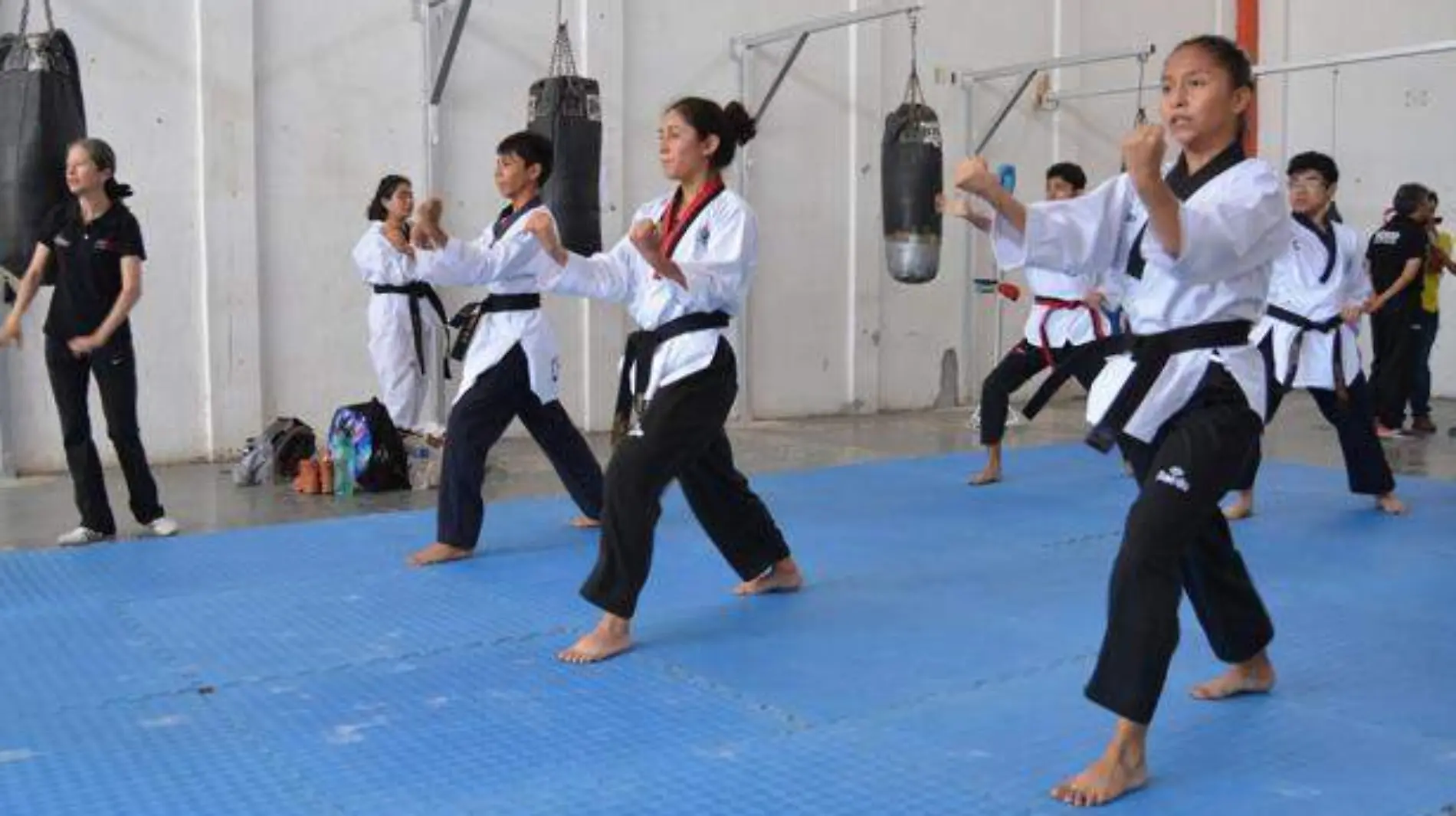 TAEKWONDO (1)